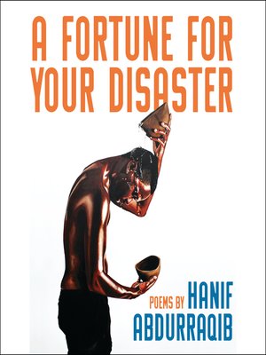 cover image of A Fortune for Your Disaster